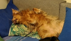 3f6ebb19-789d-4aff-9281-04b252fd86b2