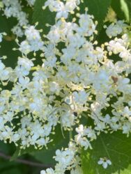 2f5a118d-fbf5-46c6-a60d-e240867cb6e5