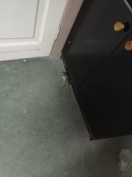 ebf8df76-22a9-47b3-a716-4e61bb8908e8