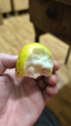 9a5fc5e5-8cac-4f3e-af3f-7f1ae2e7434f