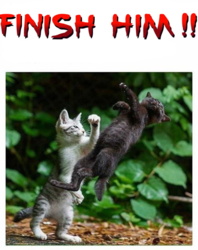 e7f97eac-ac51-40e7-a82c-aefd2ebd3ecc