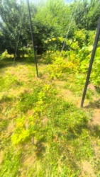 e8f918dd-7cd4-42a0-9a01-8abbb1a9d7f4