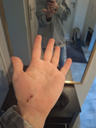 0c237e8f-0800-4566-ae2d-4b7e365dc24d