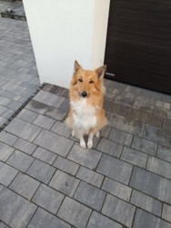 276b1a55-00fa-49bc-836a-b41c14e579c3