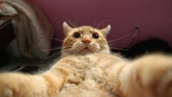 b94d3561-d9e5-421b-a315-a9fbe0d41665