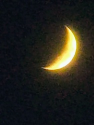 c9f0cefd-6b90-47b0-9d9e-4417fe10742e