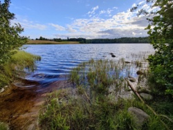 f76b6eba-b78c-45f3-b9cb-db7c5bb49e3e