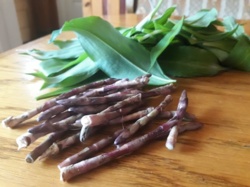 be1b7d4b-1d47-428e-9c35-4abf53cab84e