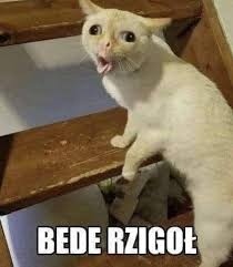 f482223c-cf6d-4788-82b3-9f05aa2da908