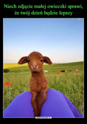 8465093c-53d3-4dba-9e2c-79a036405cfd