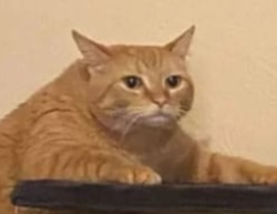 d7d9b007-f1d9-4980-a813-2b4af0927af4