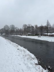 8a40de9c-1d4a-487a-8fa0-d8f0f8d474fe