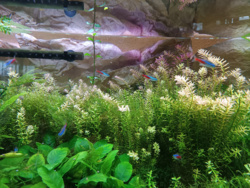 b4b56eb6-bd18-4a09-b44d-990e04076ac2