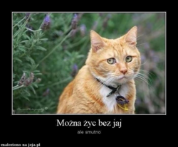 35b768da-cd4e-4df7-a89e-b6161b287b8e