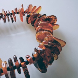 7d62395e-4f65-4b5f-baf3-fc51d7dadf97