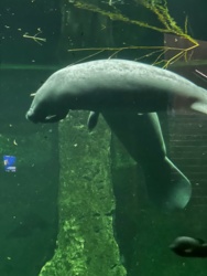 a13c87d6-52bb-42e2-9b62-c0bec41e34b2