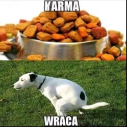 dcea3f86-7c06-4105-8dfe-6b472f217ecd