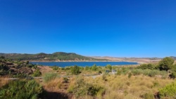 e77378c8-7364-4e11-9ba9-38f89bd44ce8