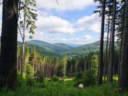 2a8af1d0-b14b-4c65-ae25-aec6e1dbd9eb