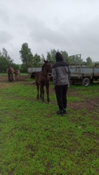 b7aa2221-b989-4eef-a32d-8e886c810b84