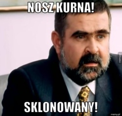 78d92aa8-ad69-473c-9fa2-57d642349024