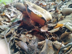 5f6a50b5-8fa4-40ad-a802-8b8f9fe4818b