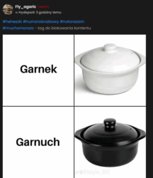 8b450a4b-bdfc-4f79-a099-f25f761270a2