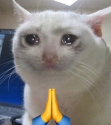 b42590b1-20ff-47ea-922f-fabc6b9cfd63