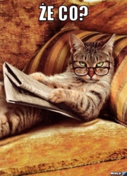 f99c0f43-8d57-427f-801e-55fdd9c8b197