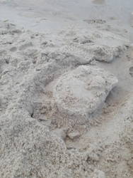 ef893347-52d5-46ca-b095-7ebc27965ada