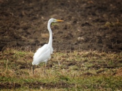 1dd7845c-62e2-4b90-8bb6-c11f30e90a15