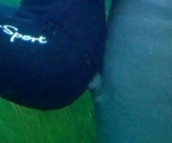 b57f1c4e-fbd8-4aa5-8dea-f86bbee1b21e