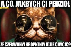 721e8fd3-95e5-434d-8a82-637c4dd73e2a