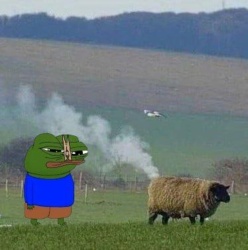 308cd228-1fb6-4ba5-a7ef-c8fd50c0a887