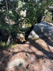 549f1477-eb3e-40a9-9613-6648f33bb7ab