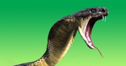 85f7aeb8-7aee-45a8-a354-8d8c969a2103