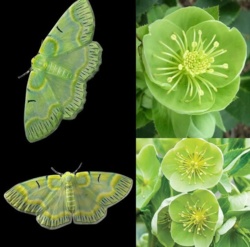 0da75edf-433c-4286-9beb-14807295b0db