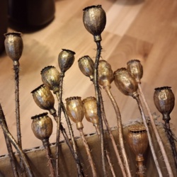 17aece10-a6ae-4ecd-ba43-36c653cdc080