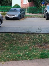 d3b46dde-9371-48cc-a357-5aa2b3757e72