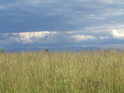 9c34eb06-af1d-43a5-9776-fee8c41ae469