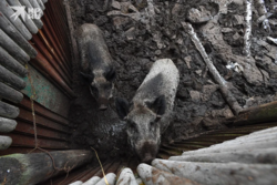 a8962803-703a-47c9-93f2-c72f74685385