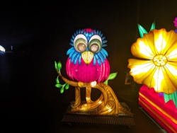 d2e9b261-a282-49d3-b9e8-135d47c2848a