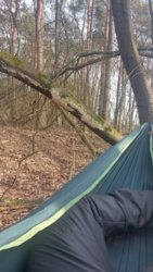 1b0d7e72-d40b-430e-a1a4-970262b9b729