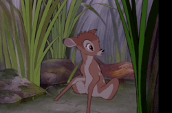 d91e5826-bf0c-41c9-af71-ecd29990b2f6