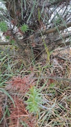 b0997e26-bb99-4b00-a7ae-856c0b83d1d4