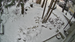 25fc3882-fd70-43f6-bbd9-1cf43921a207