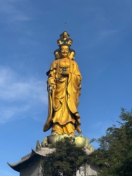 8dffdf58-7be7-4cc5-a46c-284116ed1961