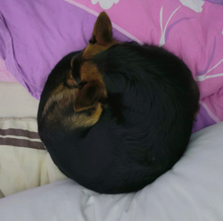 77fce9a9-c25c-4444-8c81-7b13f9e91500