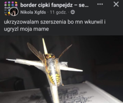 9165f5a3-3ba8-495b-a3dc-7e330ffe56d2