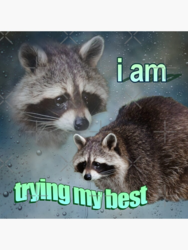 b77dd497-28ce-49c2-a01a-54b6c664f011